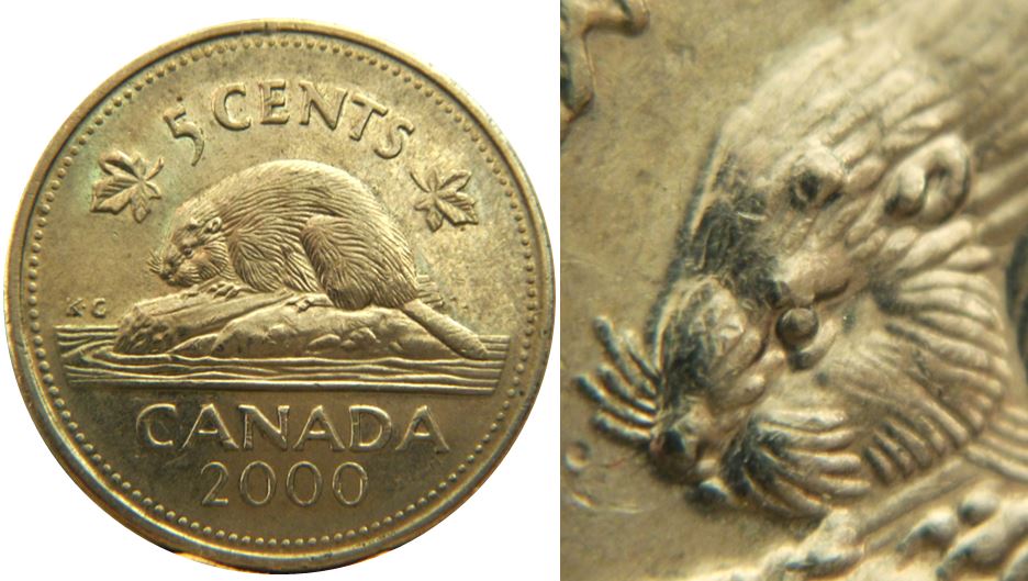 5 Cents 2000-Éclat coin sur la tête du castor-1,.JPG