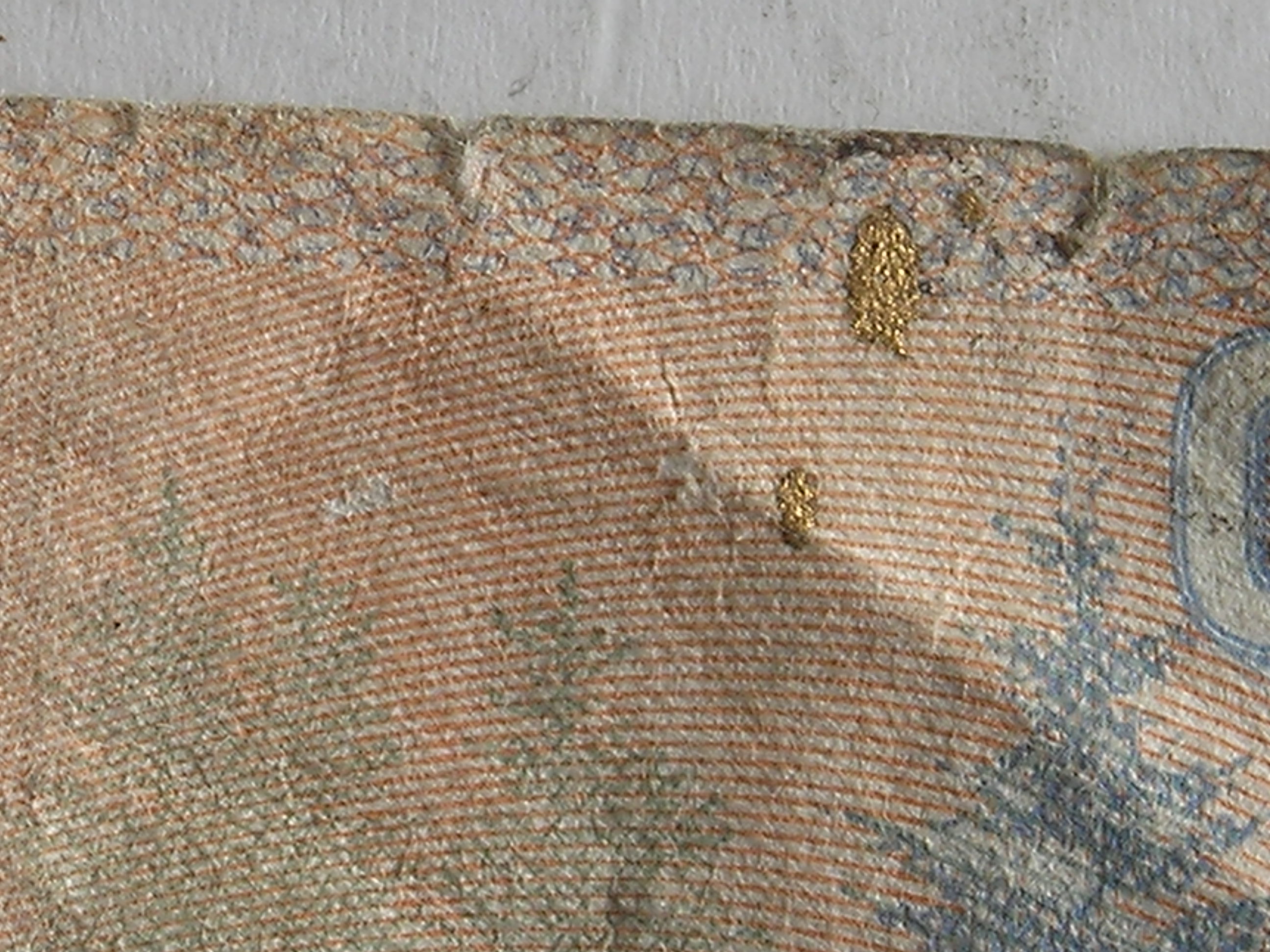 DSCN1355.JPG