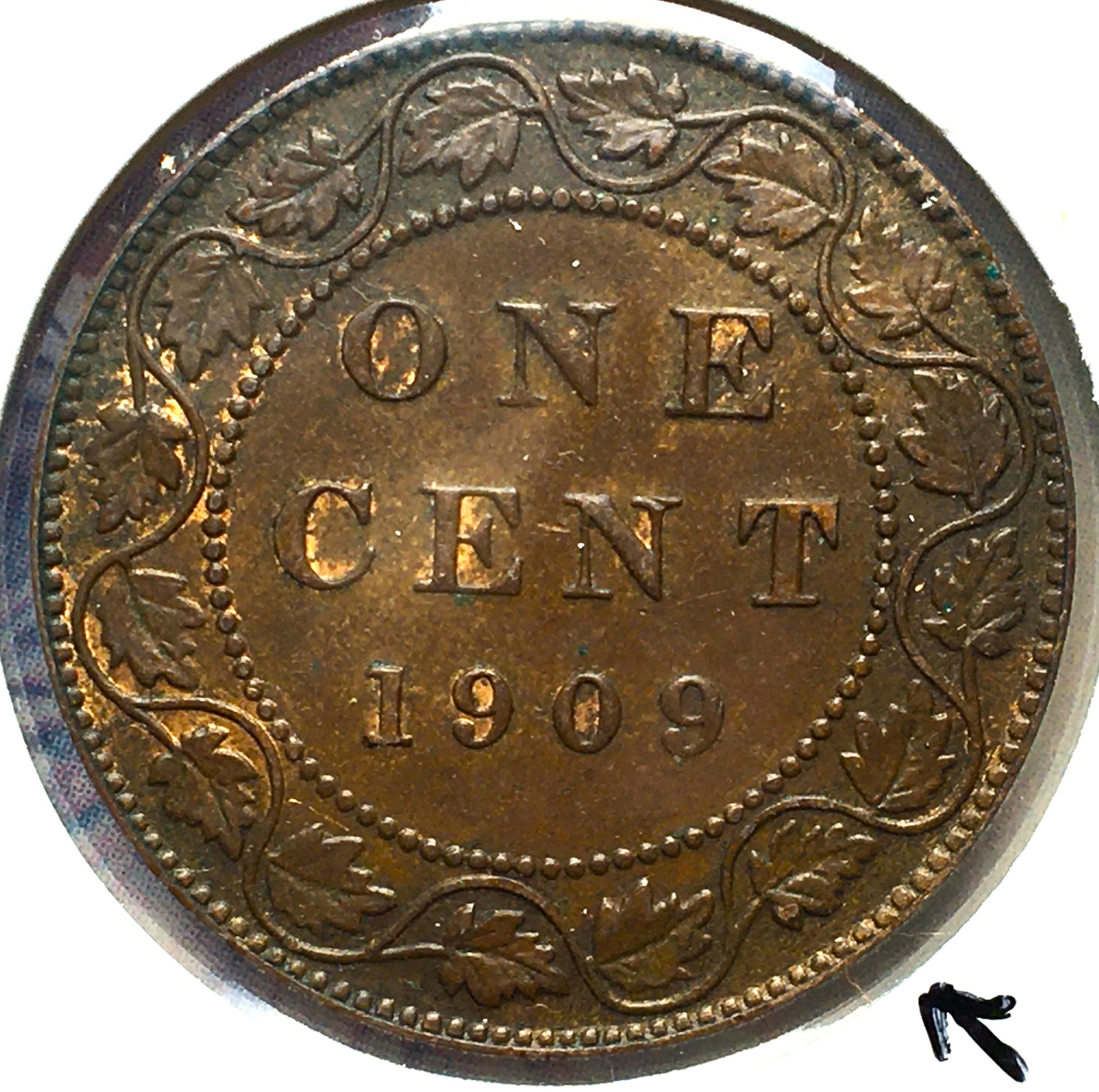 1 cent 1909 revers.JPG