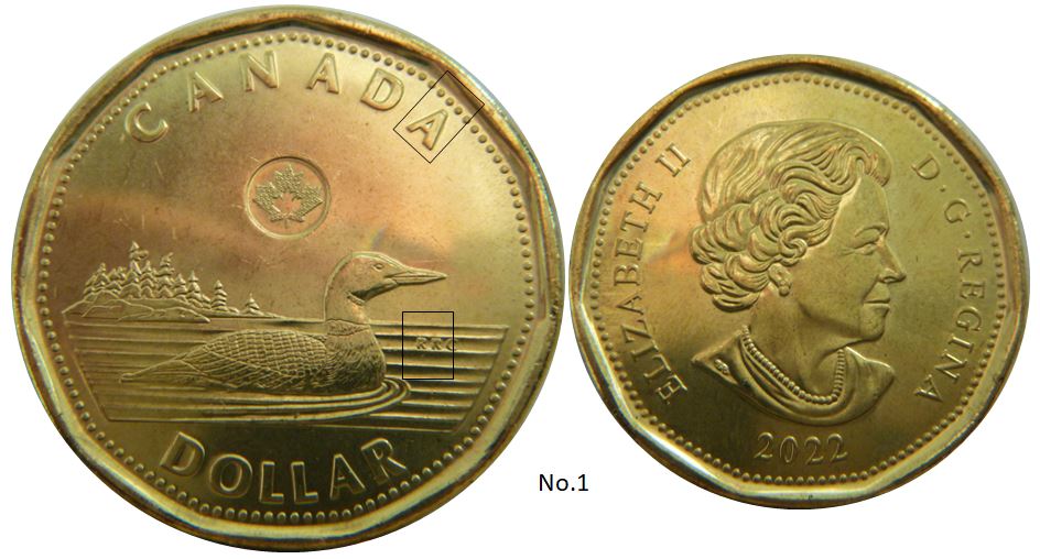 1 Dollar 2022-Coin fendillé A de canadA-Éclat dans RR-No.1,.JPG