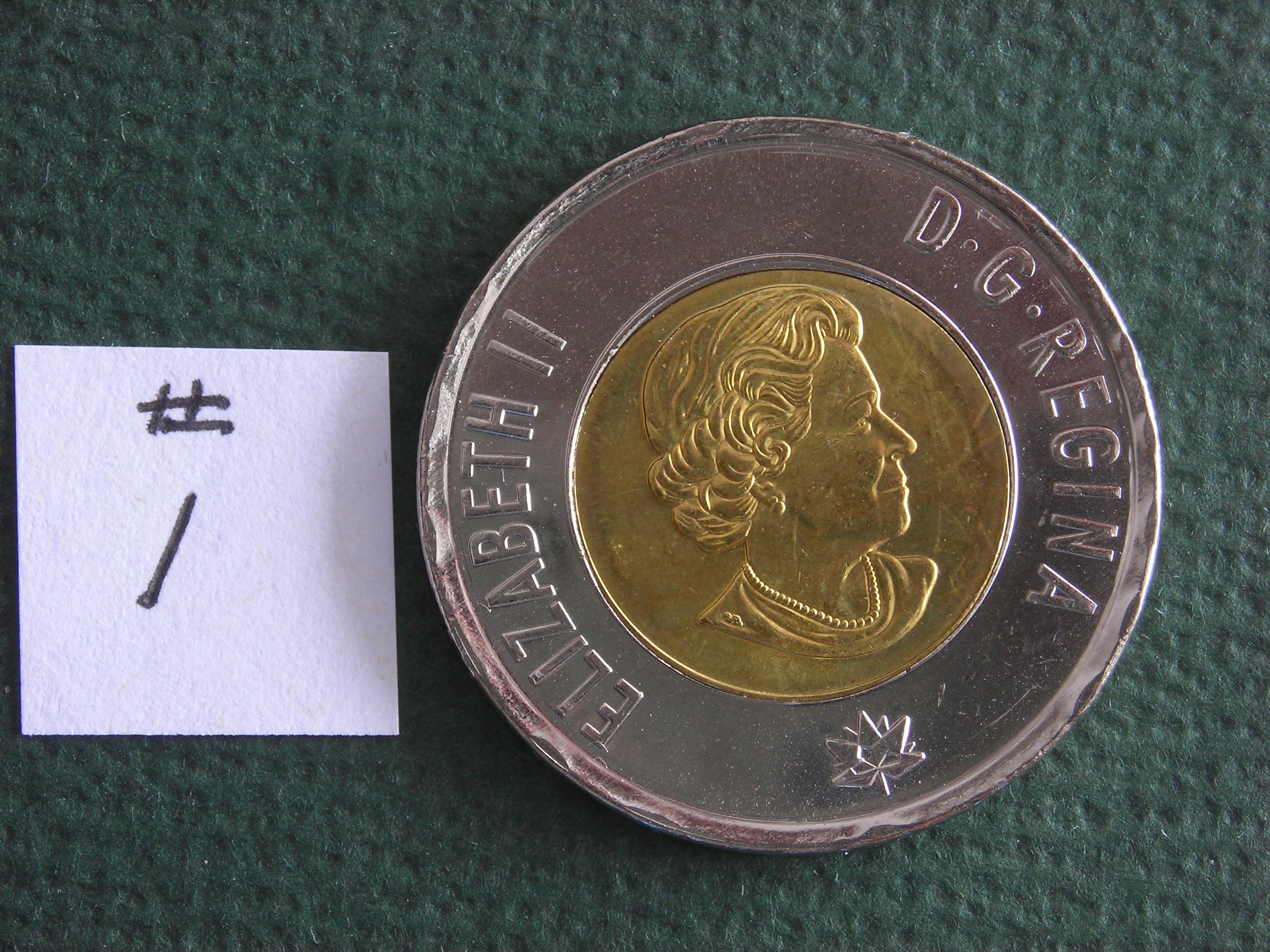 DSCN1463.JPG