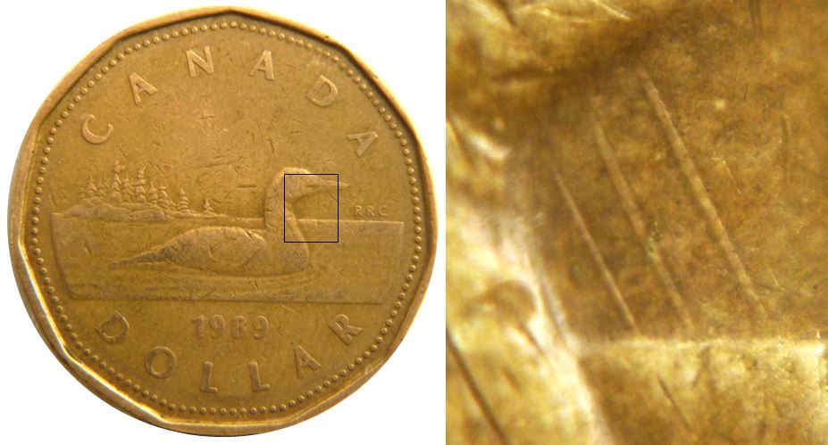 1 Dollar 1989-Dommage du coin devant cou de l'oiseau-1.JPG