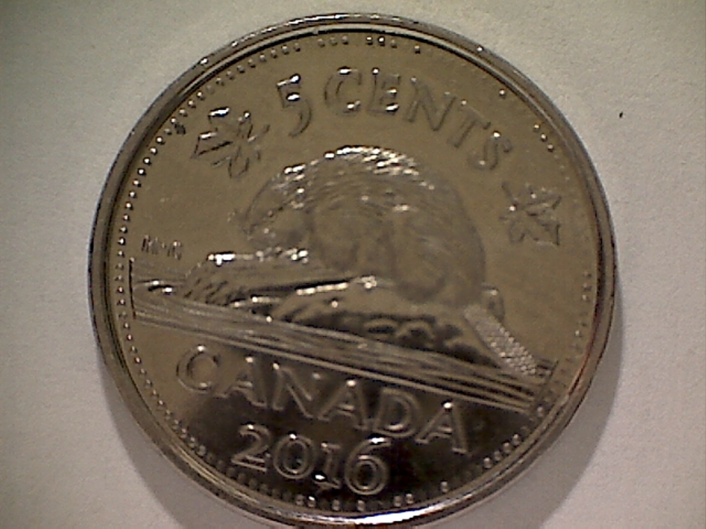 2016 Pereles pallissantes et éclat sur feuille de droite B524093B Revers.jpg
