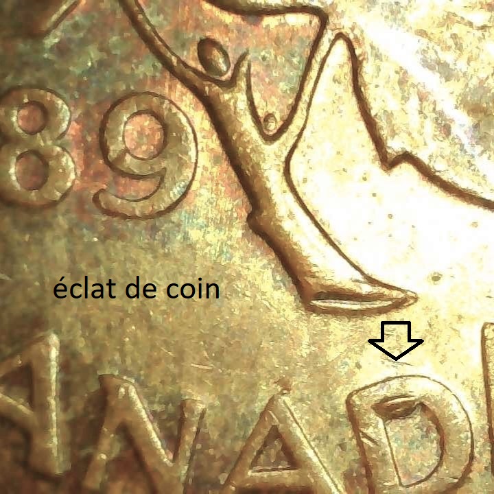 10002.jpg
