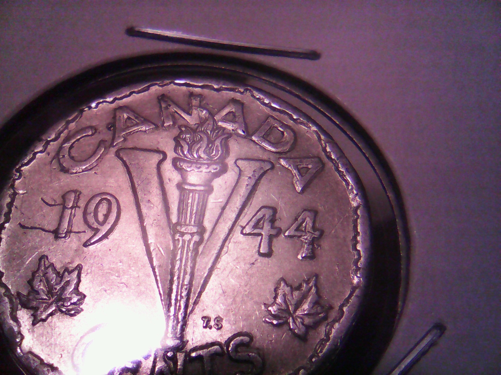 1506643264383-30135933.jpg