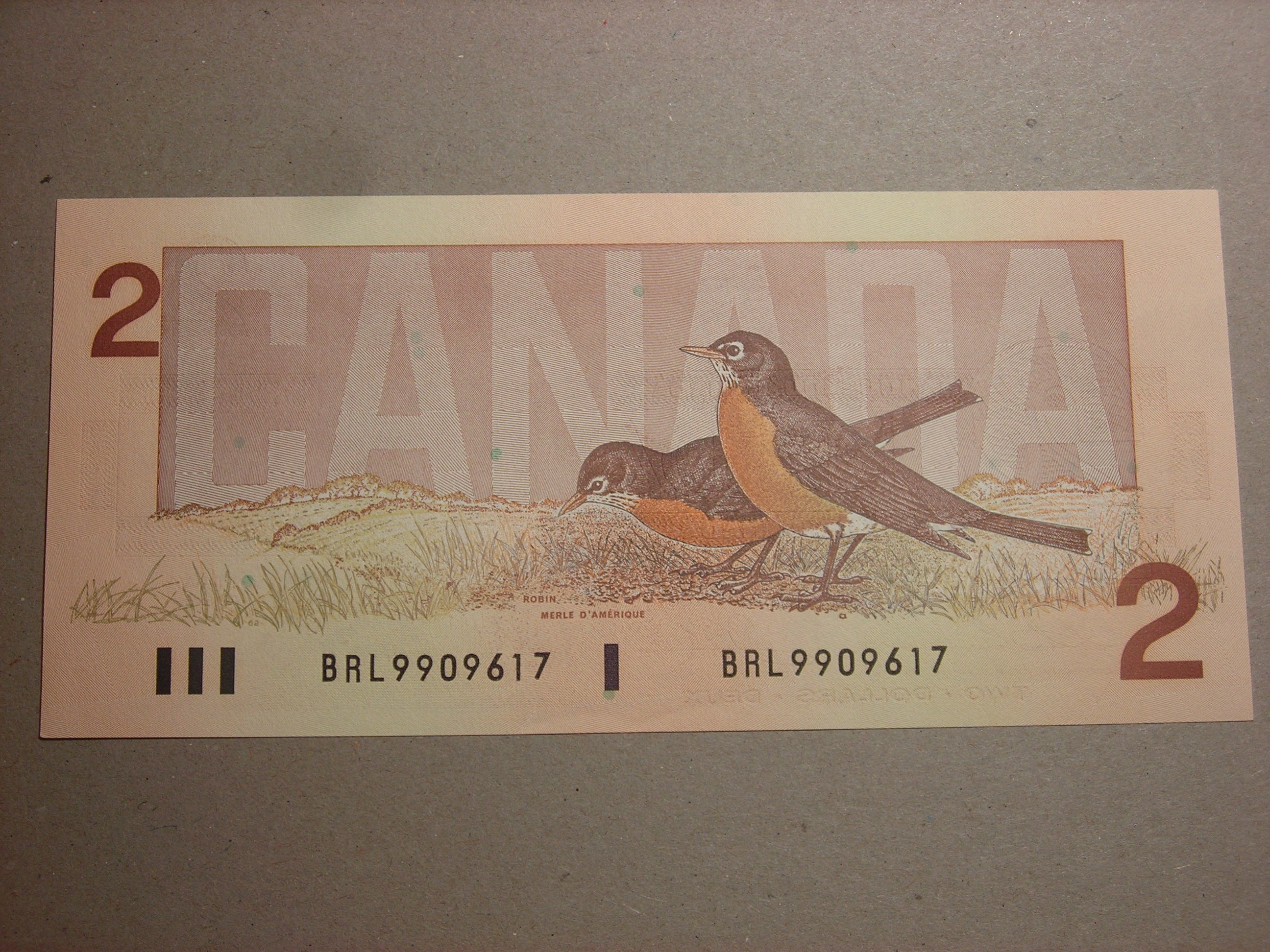 DSCN1529.JPG