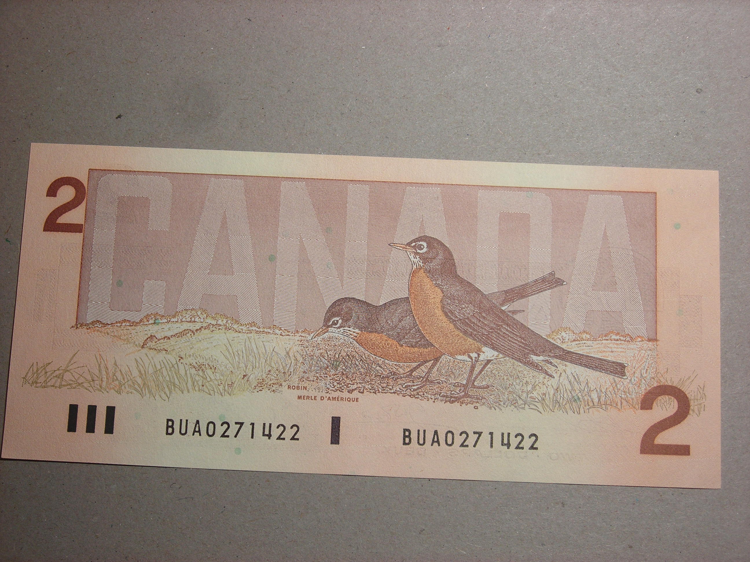 DSCN1539.JPG