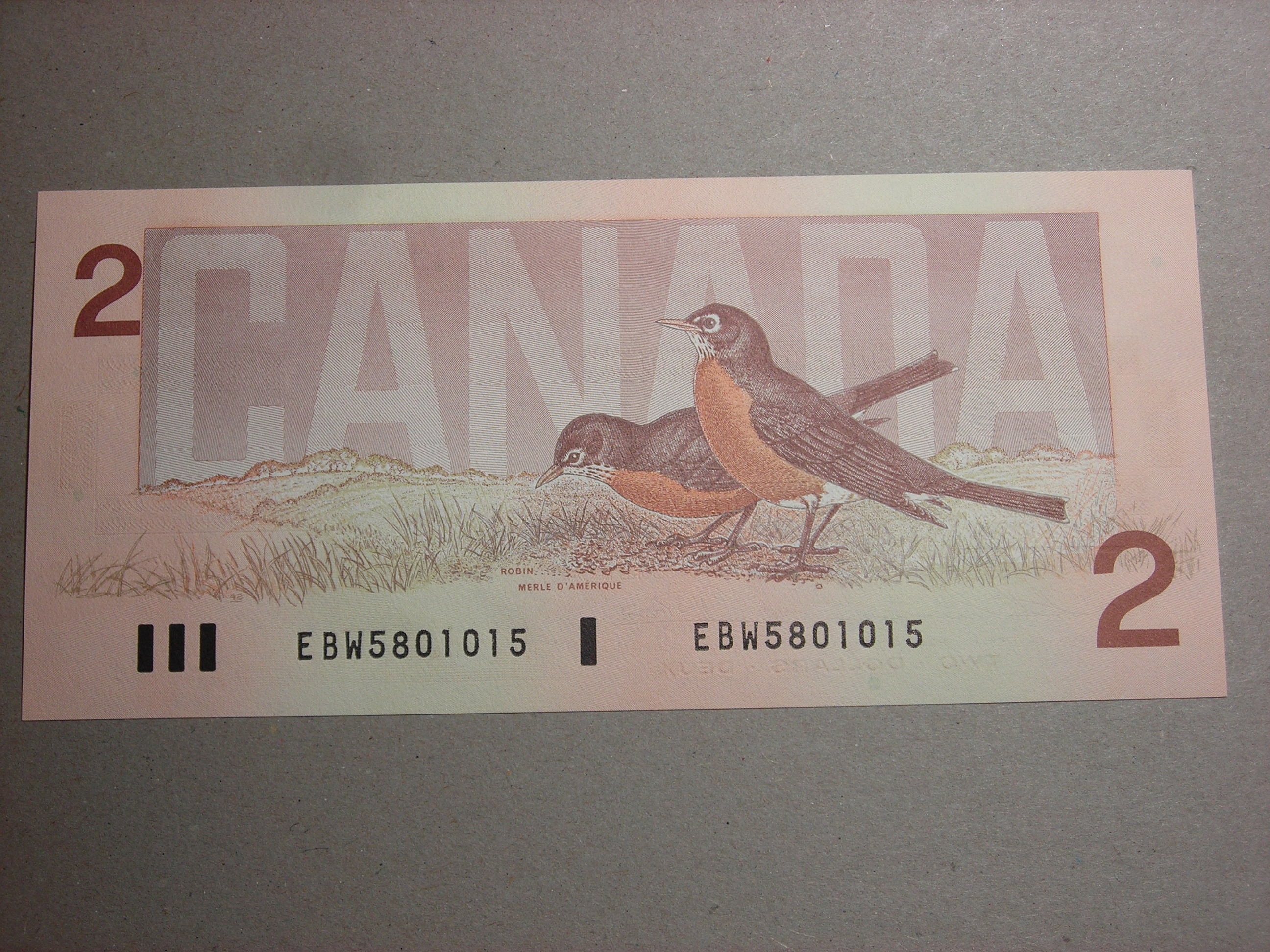 DSCN1533.JPG