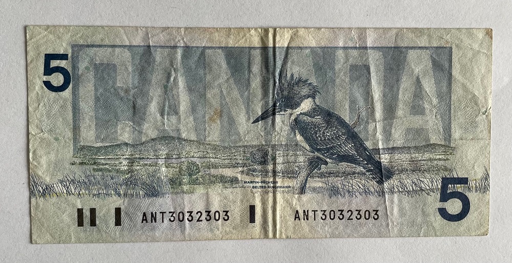 5$ - 1986 - RADAR revers.jpg