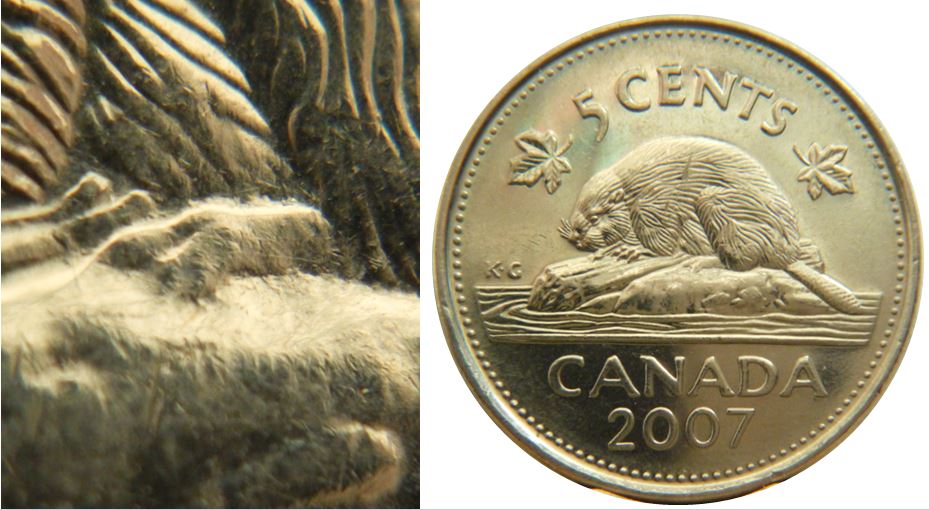 5 Cents 2007-Frappe à travers graisse sur patte arrière-1.JPG