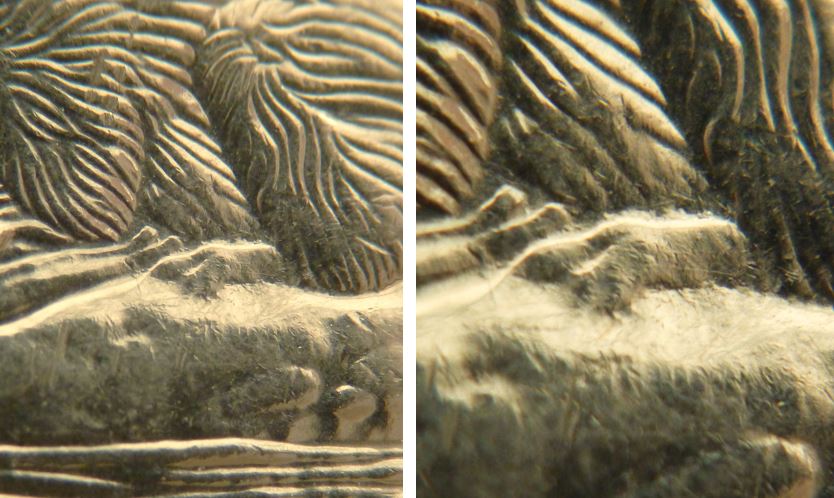 5 Cents 2007-Frappe à travers graisse sur patte arrière-2.JPG