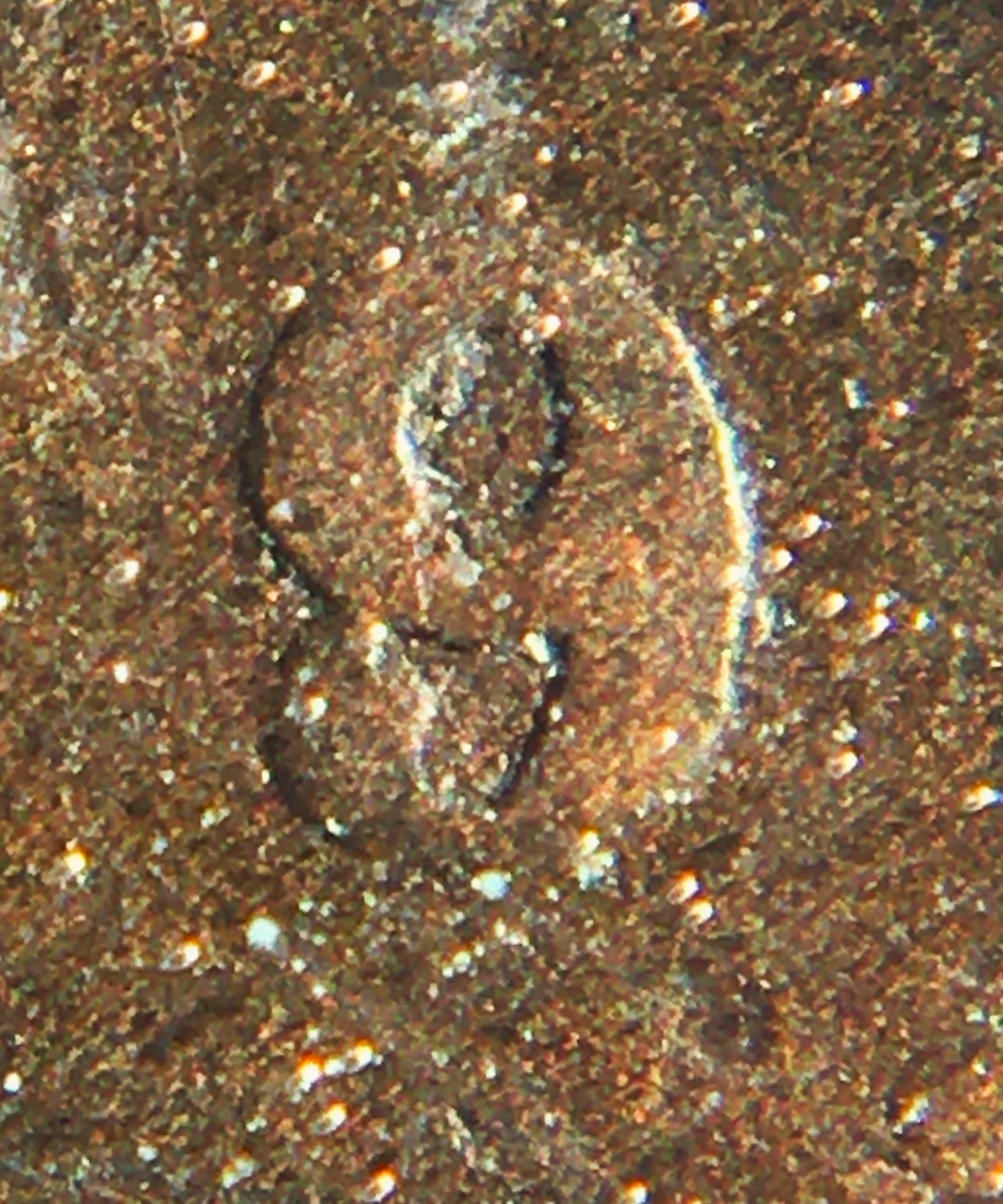 1 cent 1859 w98 détail 1.JPG