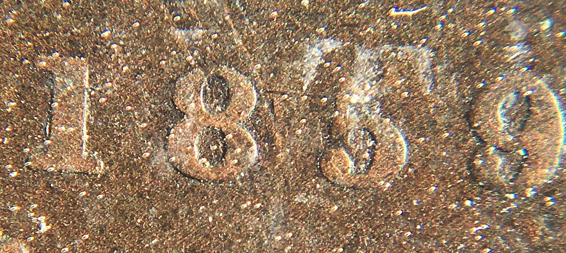 1 cent 1859 w98 détail 2.JPG