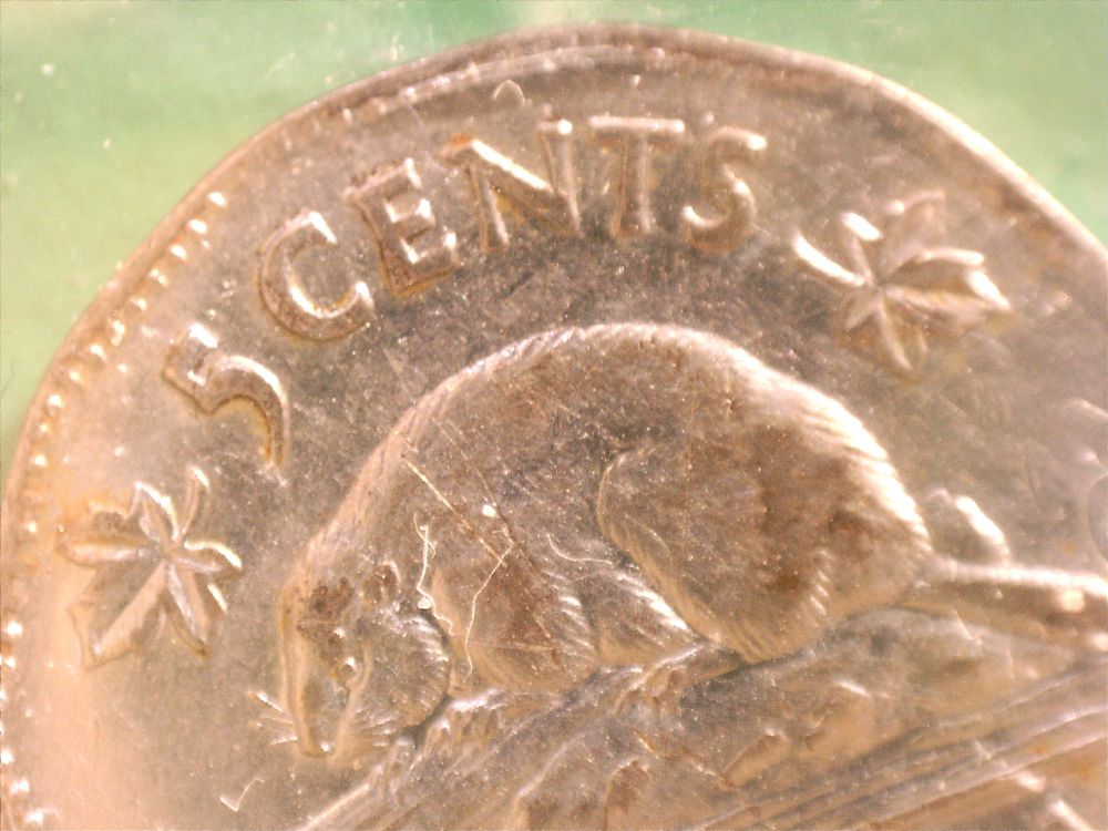 5c5.jpg