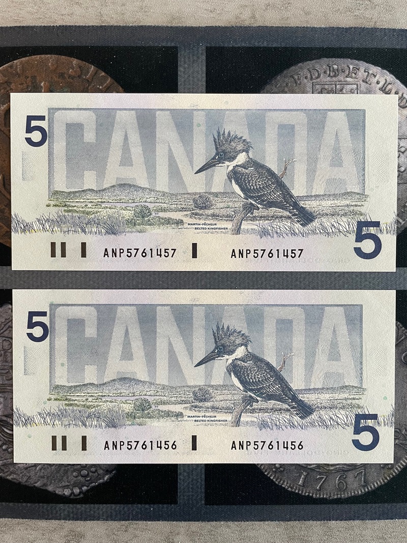 5$ changeover 1986 - revers.jpg