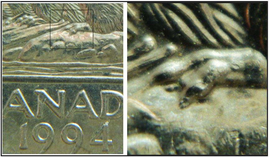 5 Cents 1994-Éclat coin patte arrière griffe extra-1.JPG