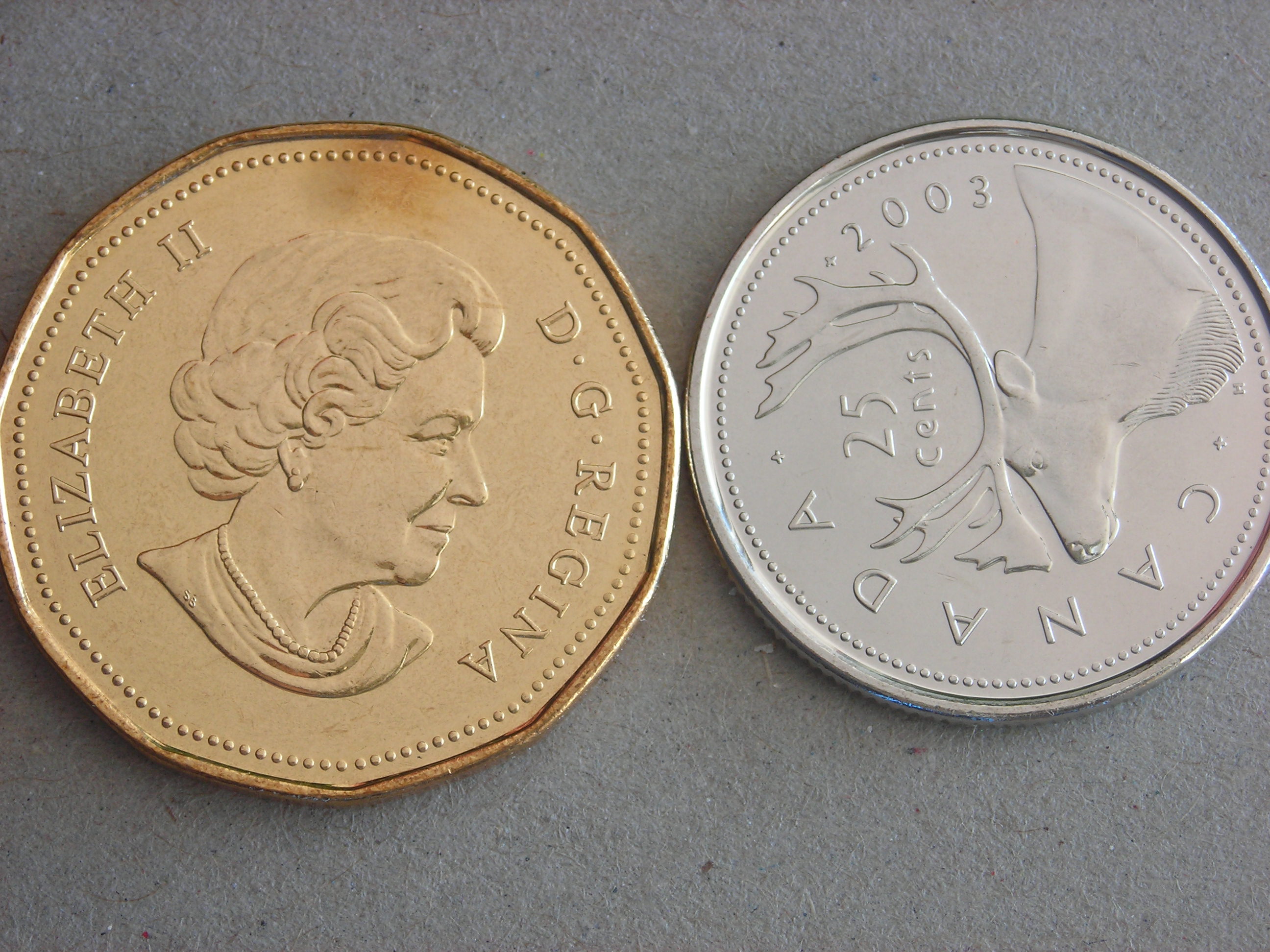 DSCN1650.JPG