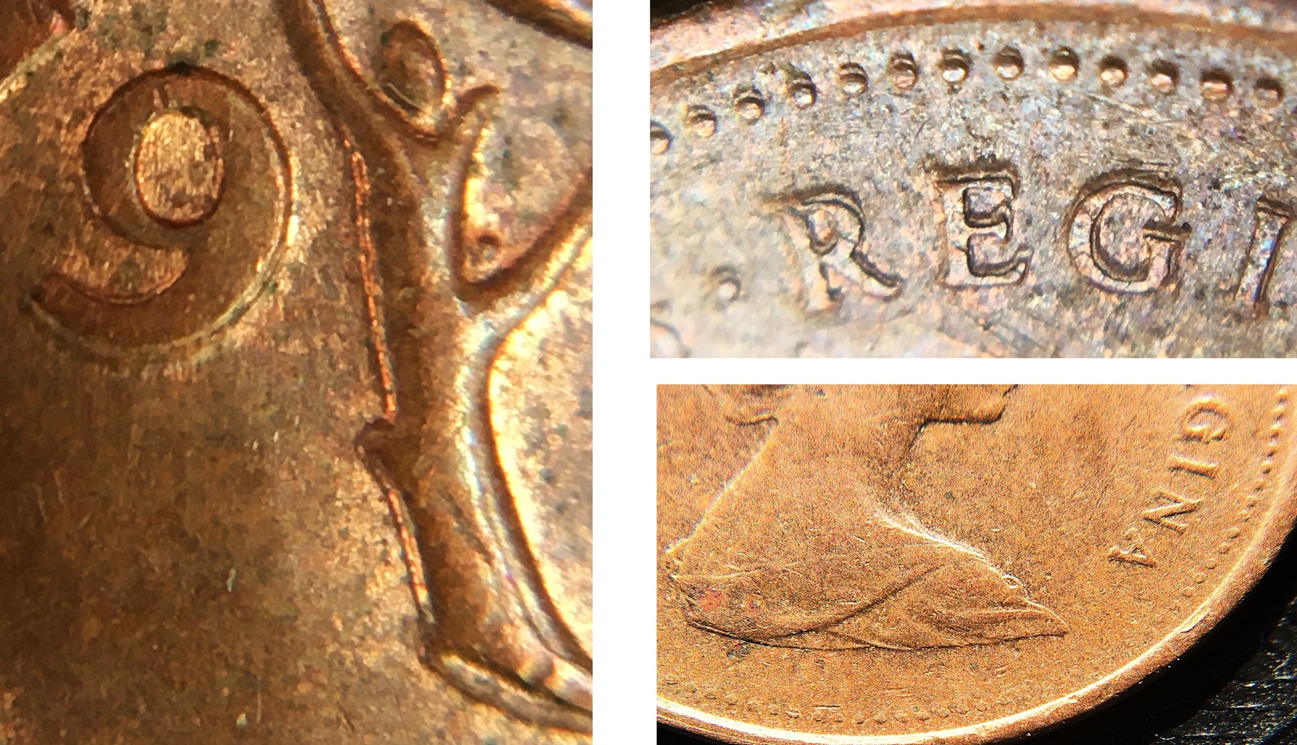 1979 double pétiole 3 photos 30.jpg