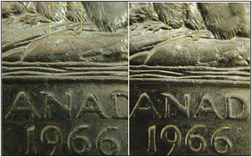 5 Cents 1966-Éclat coin sous abdomen du castor-3.JPG