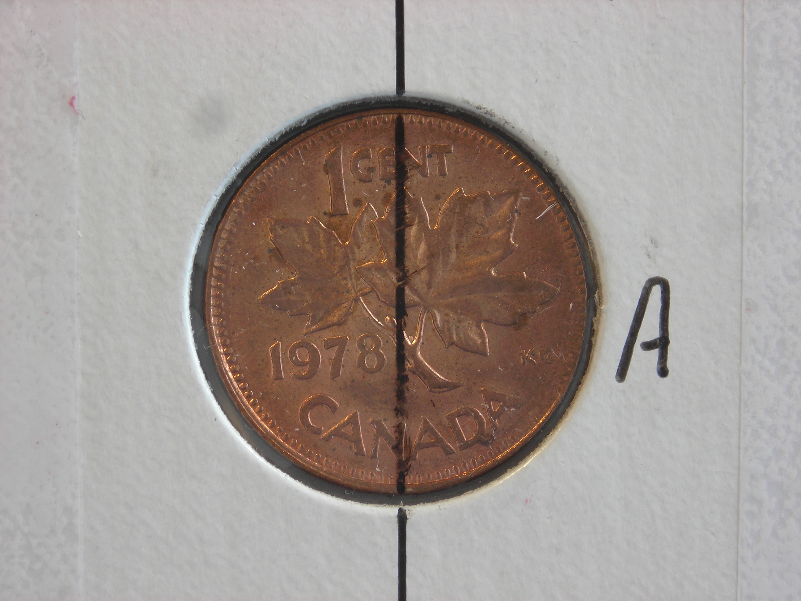 DSCN1747.JPG