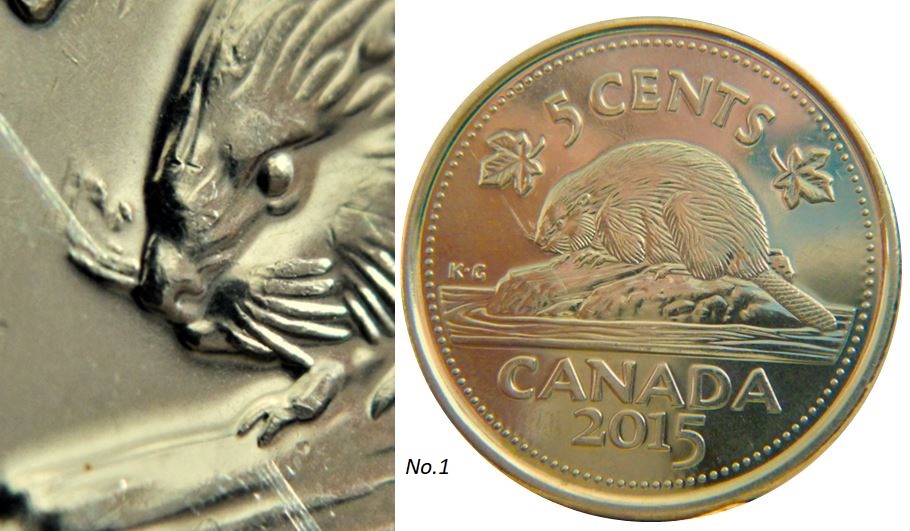 5 Cents 2015-Castor a petite moustache-No.1,.JPG