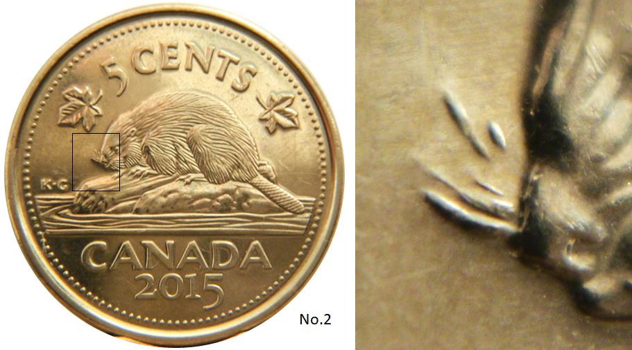 5 Cents 2015-Castor a petite moustache-No.2,.JPG
