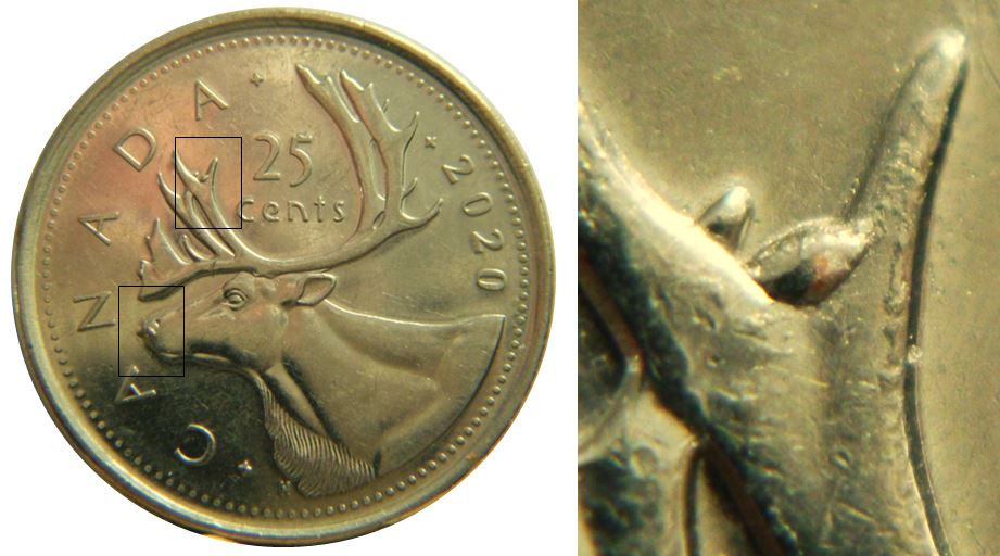 25 Cents 2020-Bois extra en avent-Museau bouché du caribou-No.4,.JPG