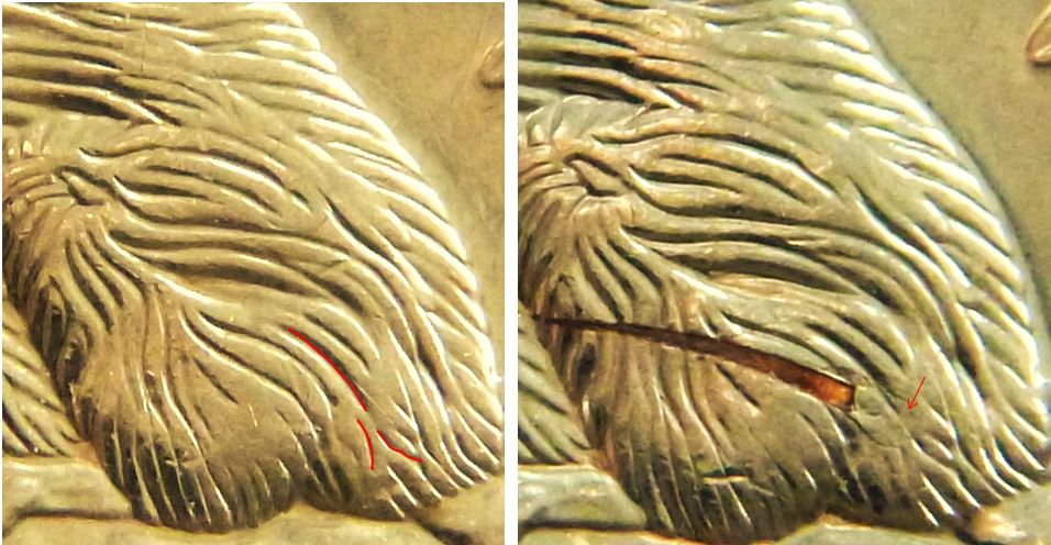 5 Cents 2007-Belle égratignure sur fesse du castor-2.JPG