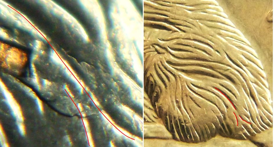 5 Cents 2007-Belle égratignure sur fesse du castor-3.JPG