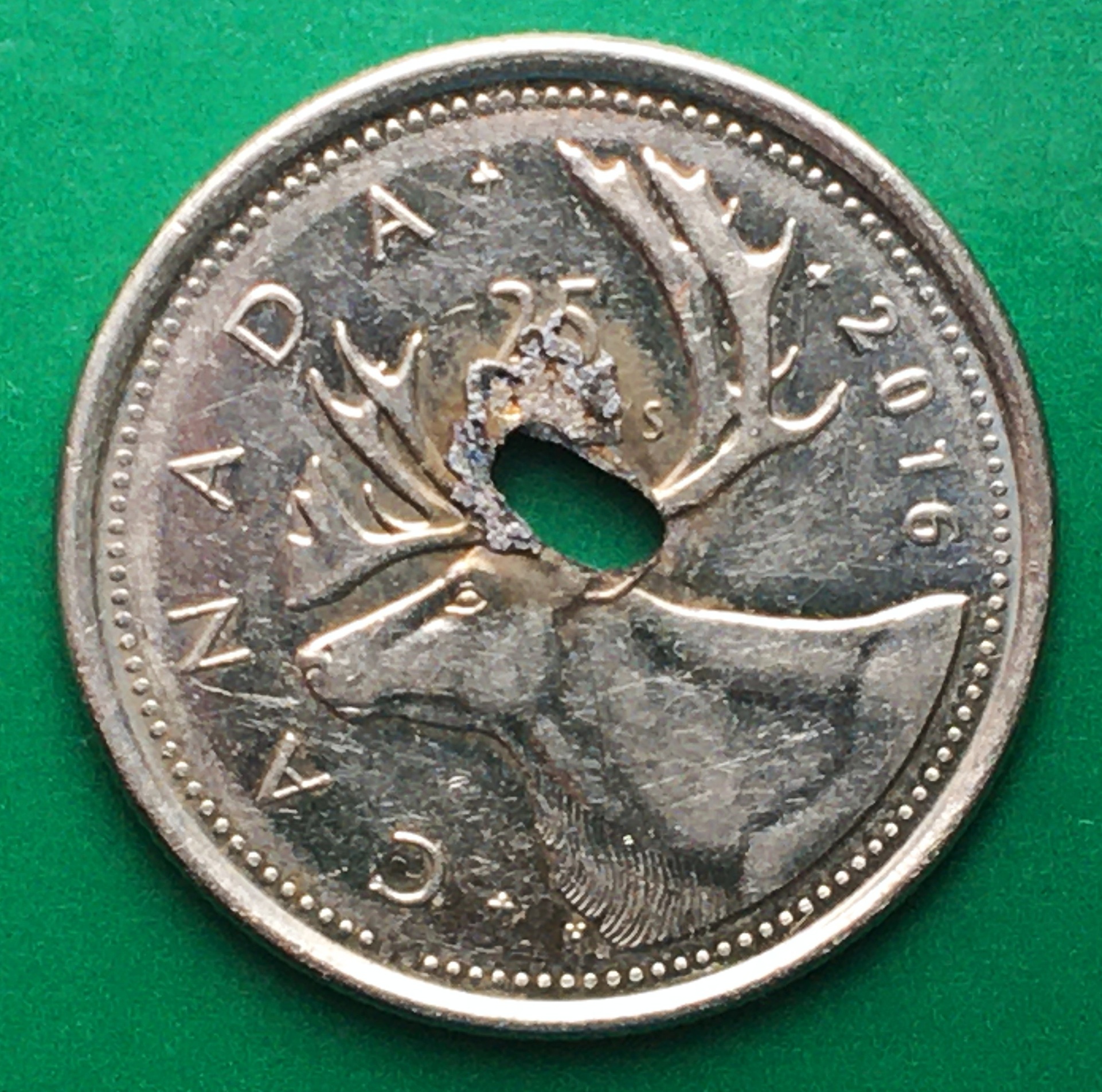 25 cents 2016 revers.JPG
