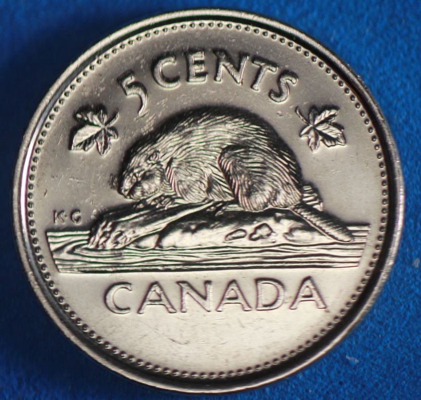 5 c 2002 délamination rev (2).JPG