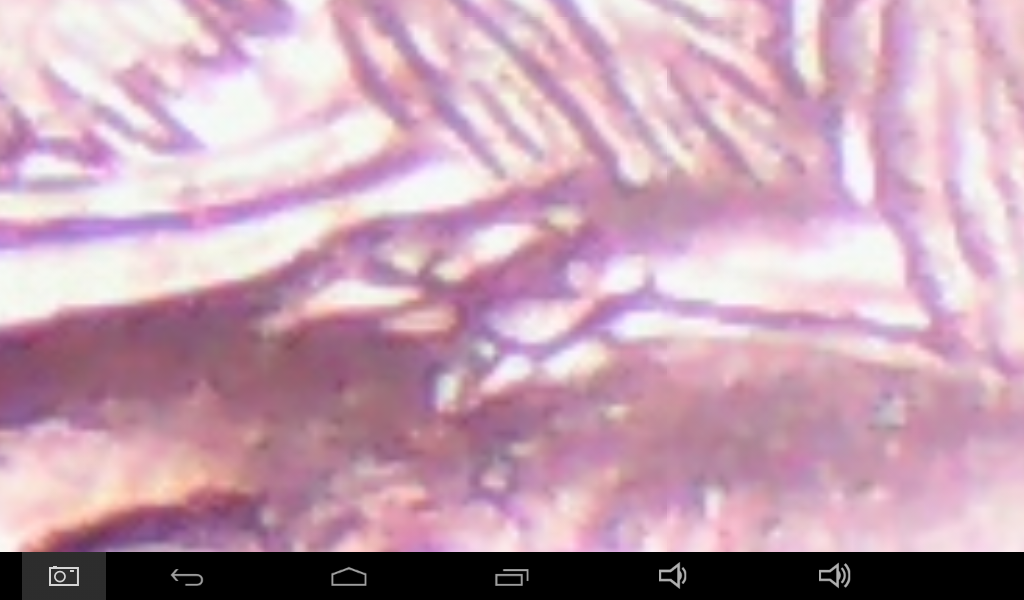 Screenshot_2017-10-12-21-18-47.png