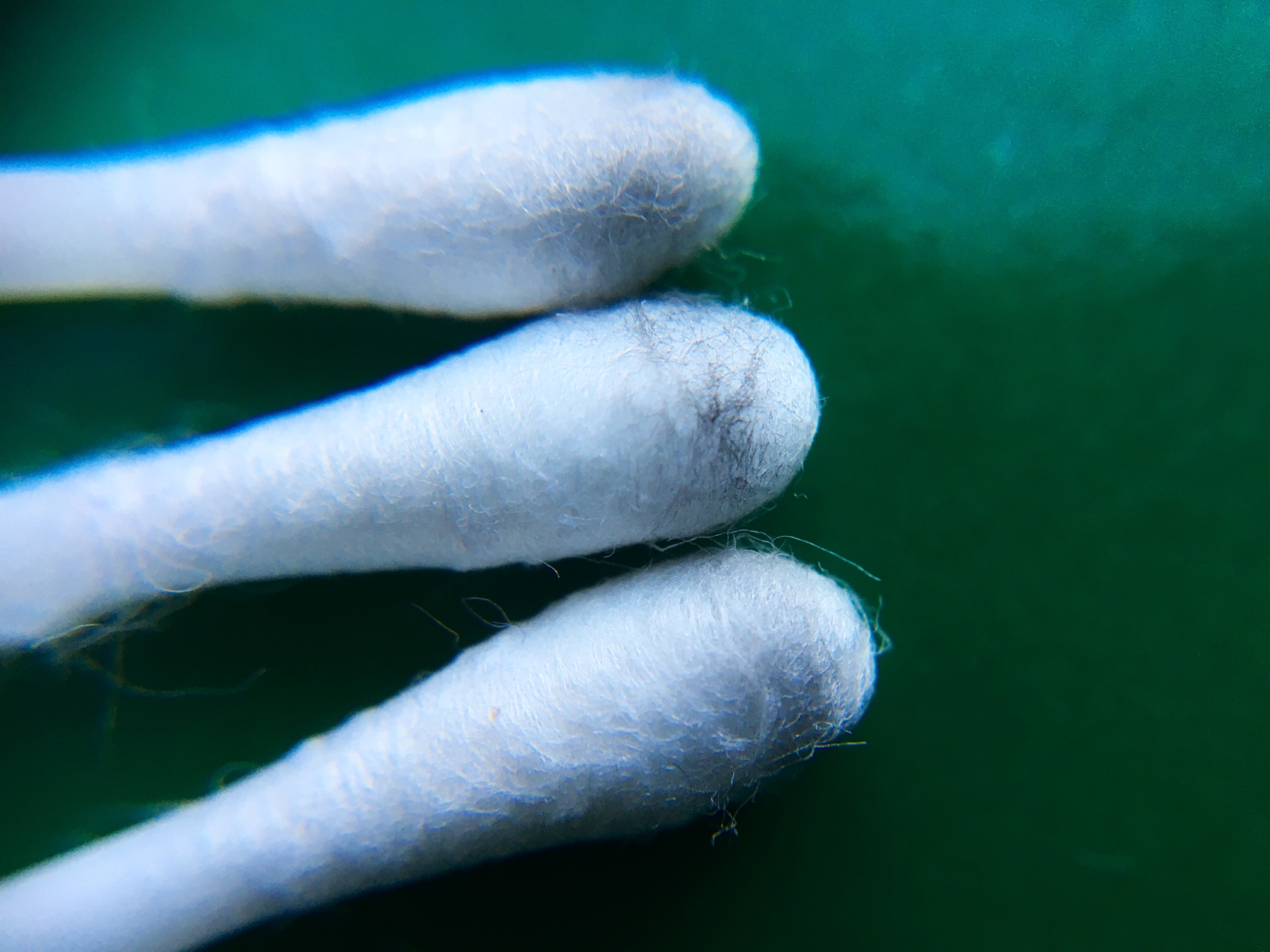 3 Qtips 50.jpg