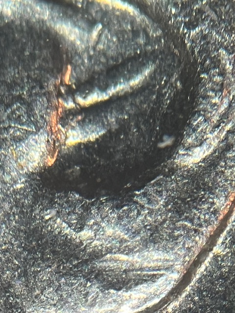 IMG_2503.jpeg
