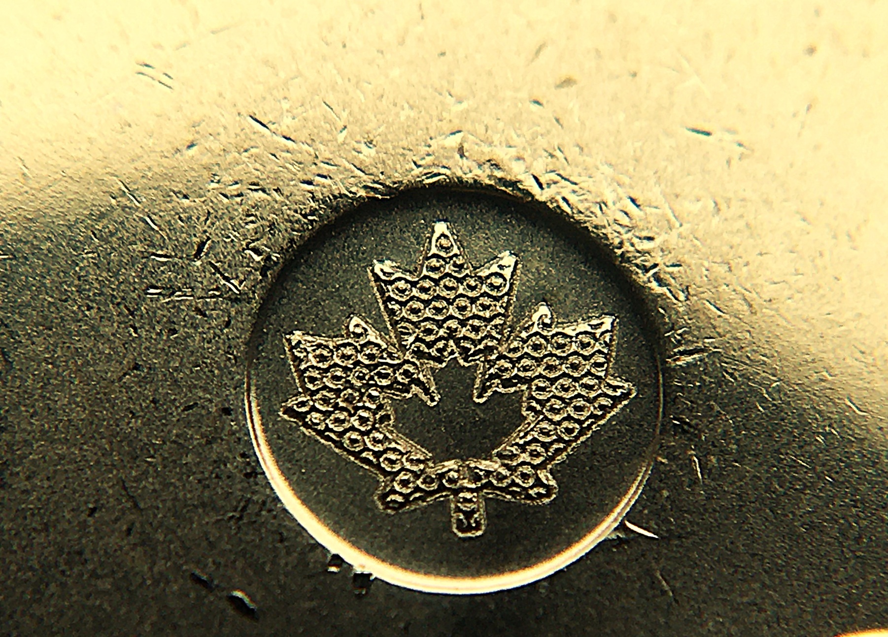 1 dollar 2025 marques.JPG