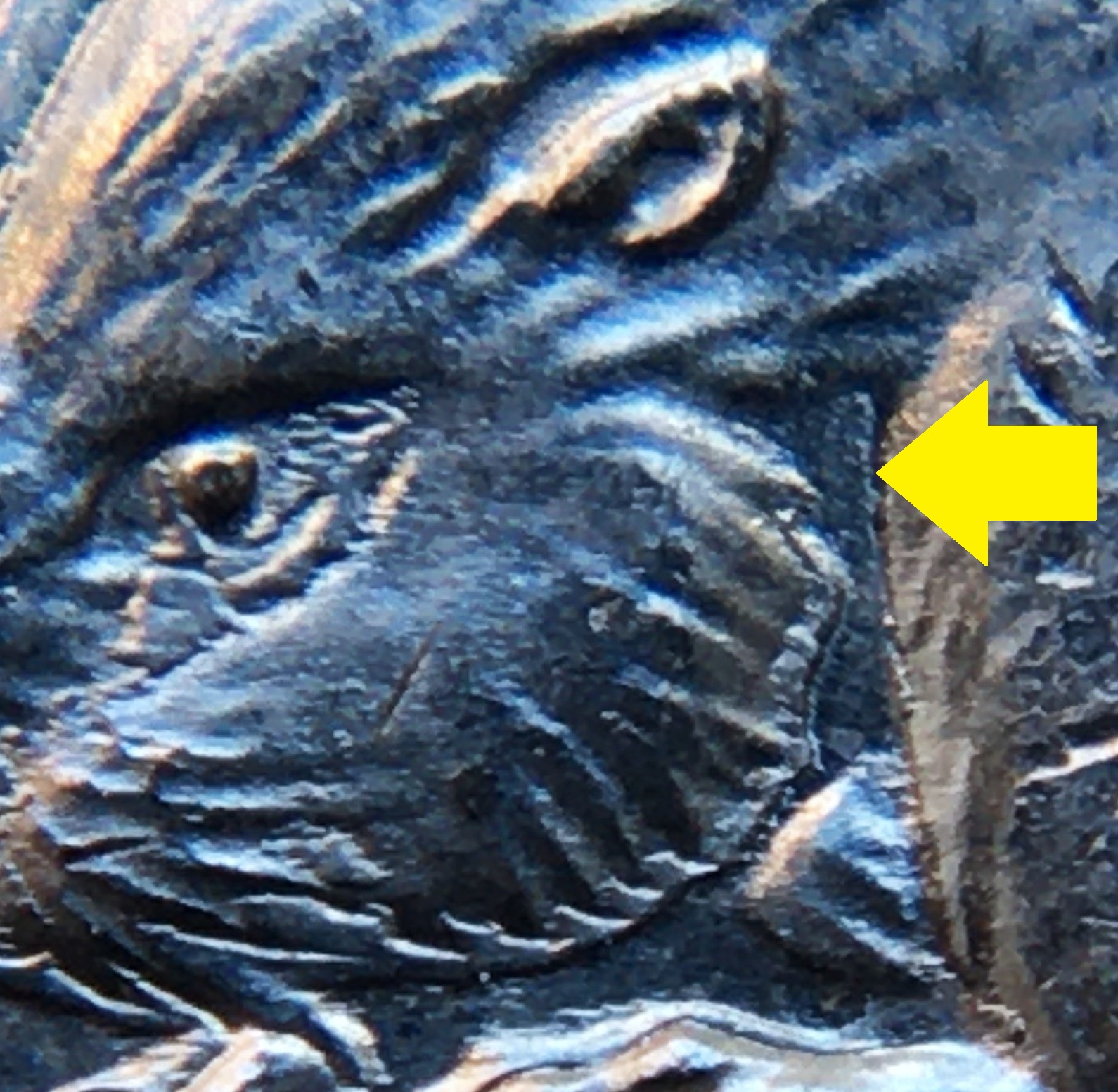 5 cents 1963 visage castor détails avec flèche.jpg