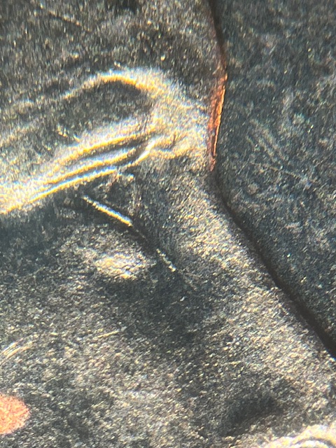IMG_2680.jpeg
