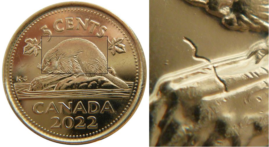 5 Cents 2022-Frappe à travers un fils devant castor-manque de fourrure-1.JPG