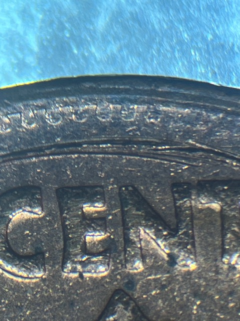 IMG_2805.jpeg