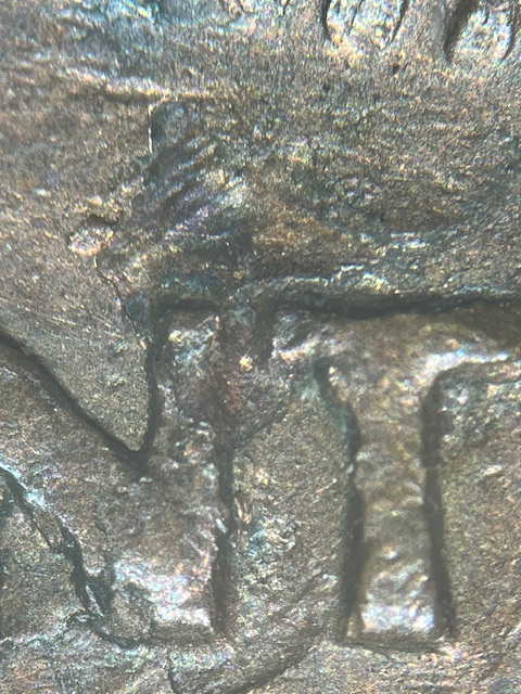 IMG_2828.jpeg