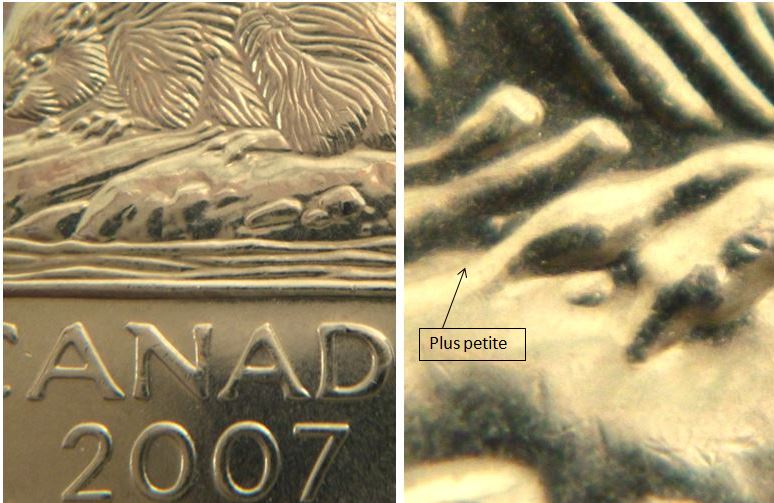 5 Cents 2007-Éclat coin patte-arrière plus petite- Griffes extra-No.4,.JPG