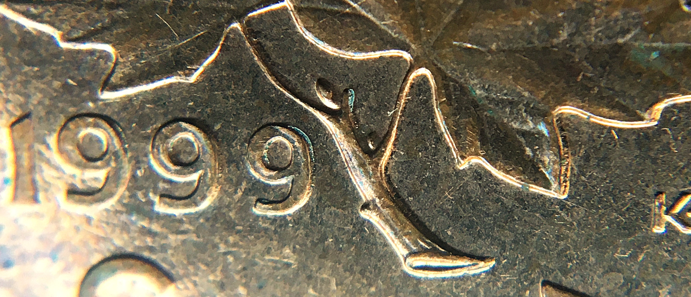 1 cent 1999 double bourgeon 999.JPG