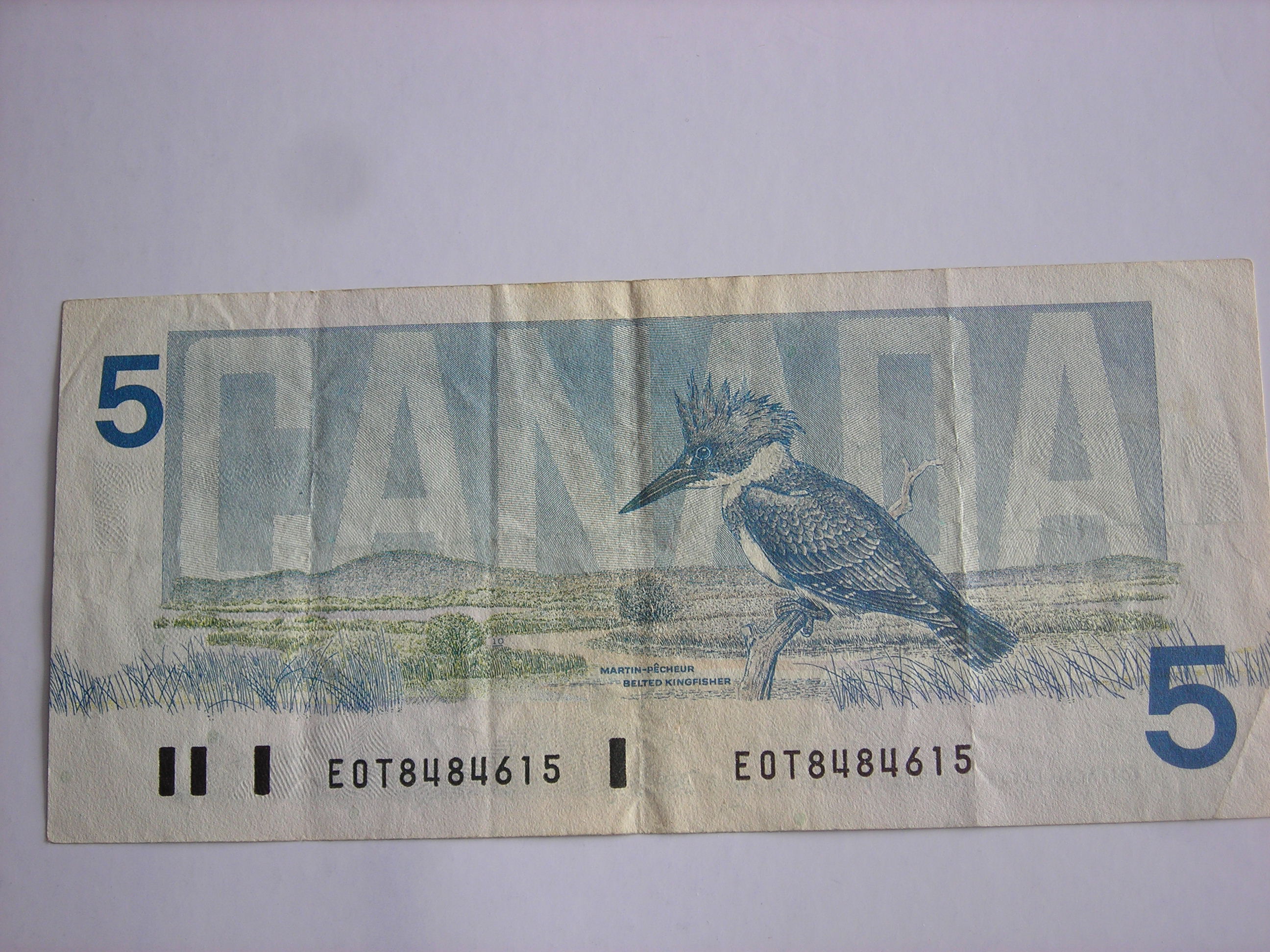 DSCN1976.JPG