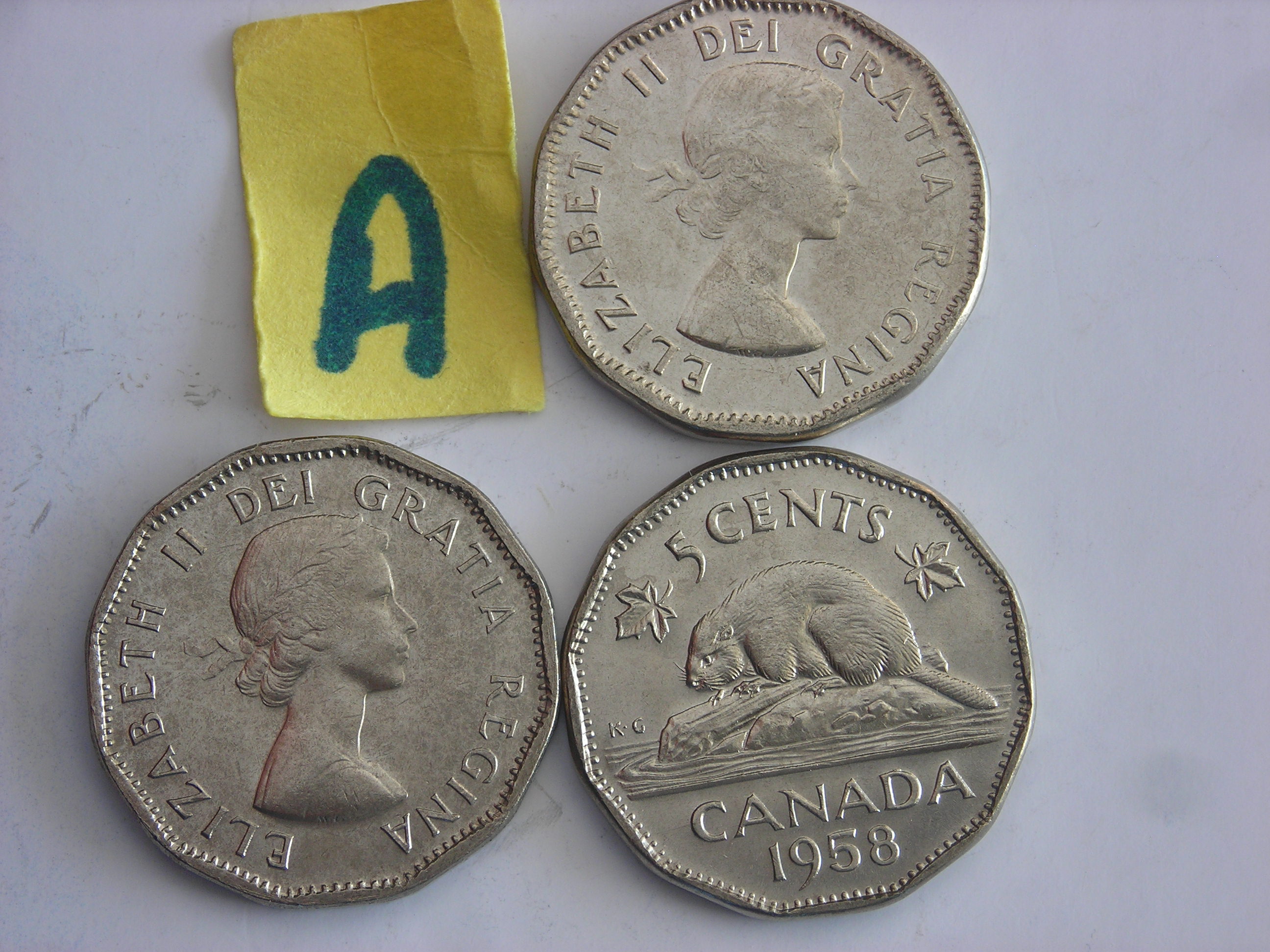 DSCN2064.JPG