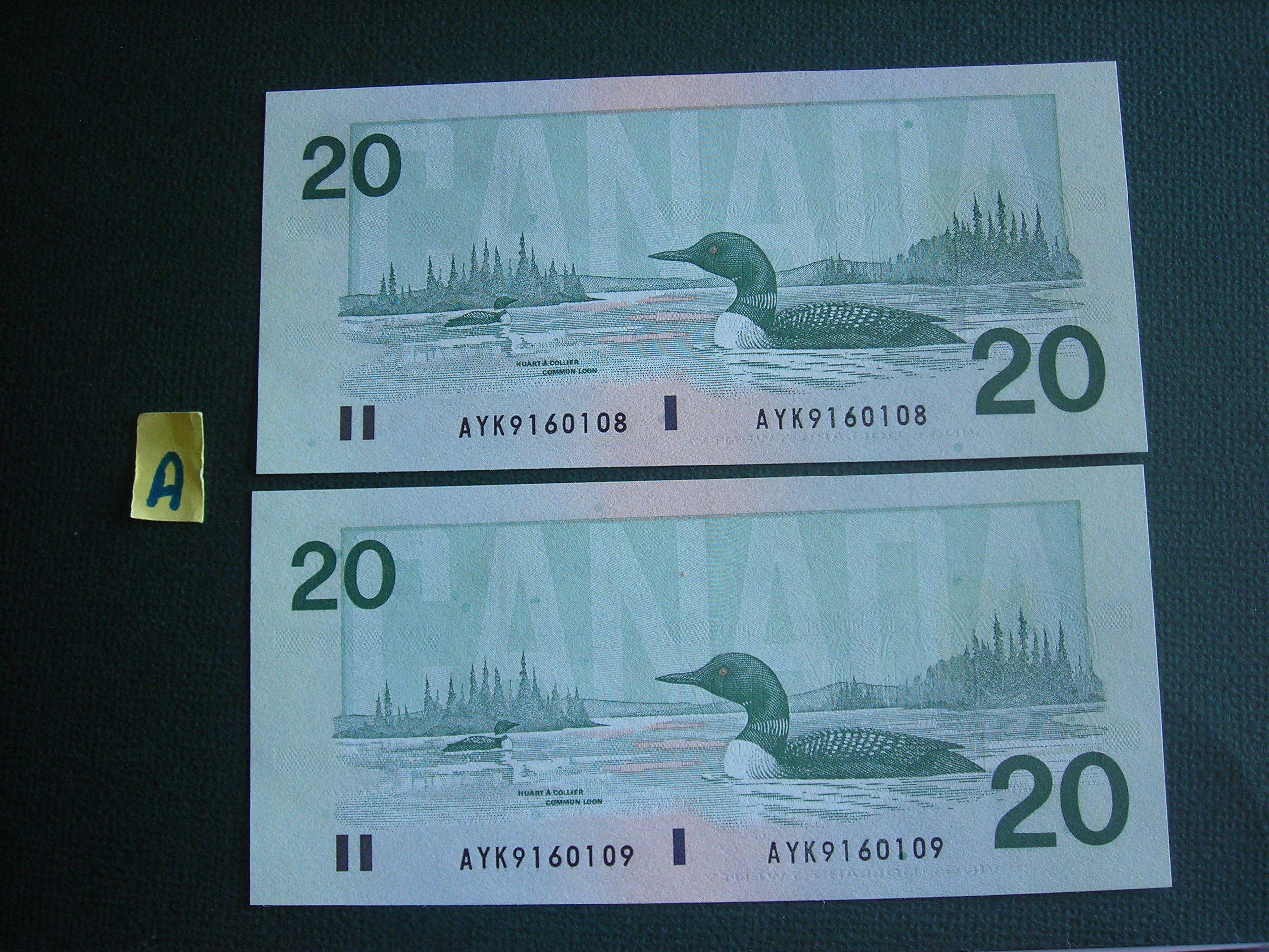DSCN2072.JPG