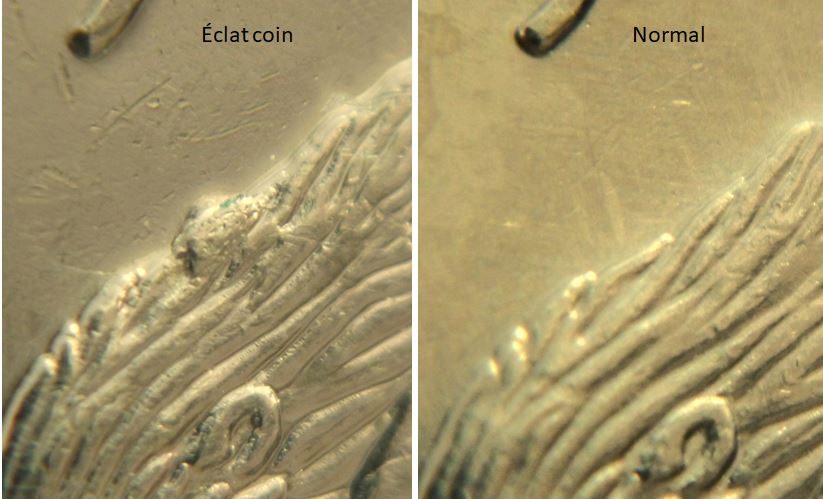 5 Cents 2016-Éclat coin sur le castor-2.JPG
