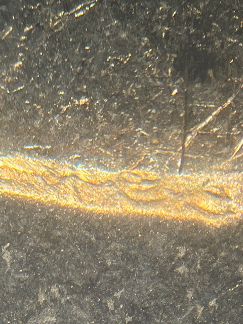 IMG_3311.jpeg