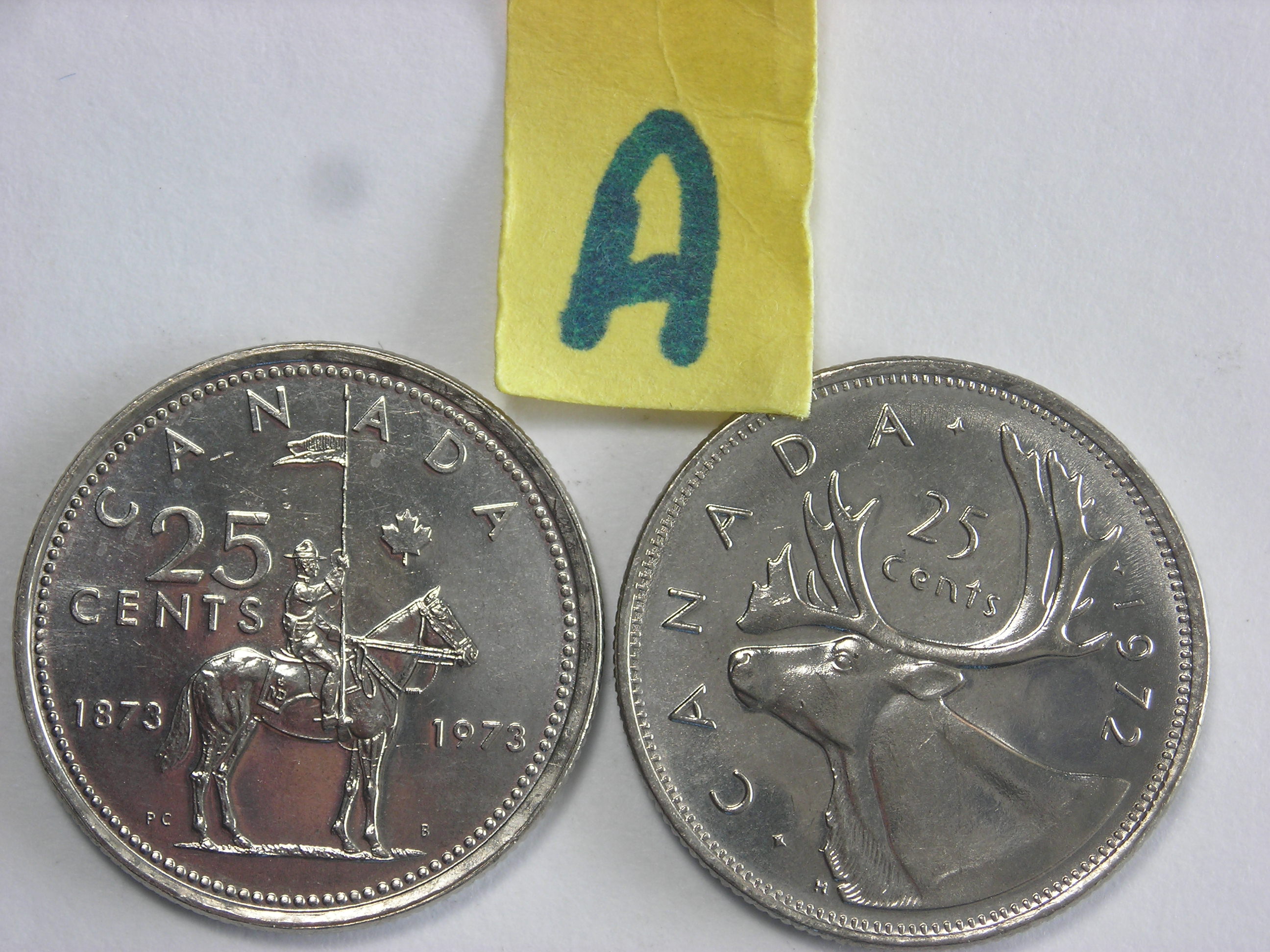 DSCN2165.JPG