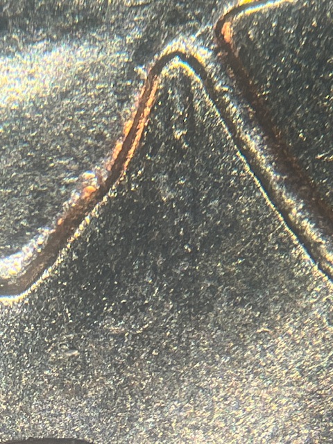 IMG_3340.jpeg
