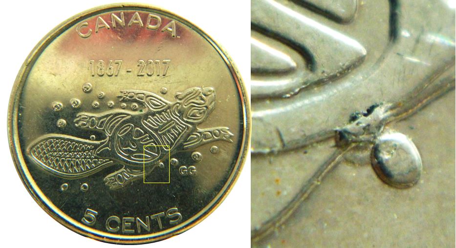 5 Cents 2017-Éclat coin sous le ventre du castor-No.3,.JPG